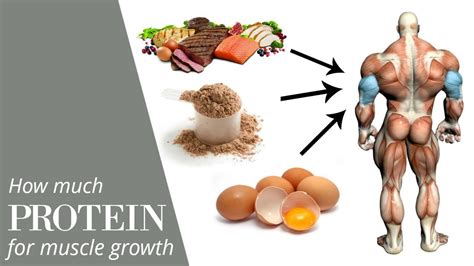 Magic xcup Protein vs. Other Protein Sources: Which is Best?